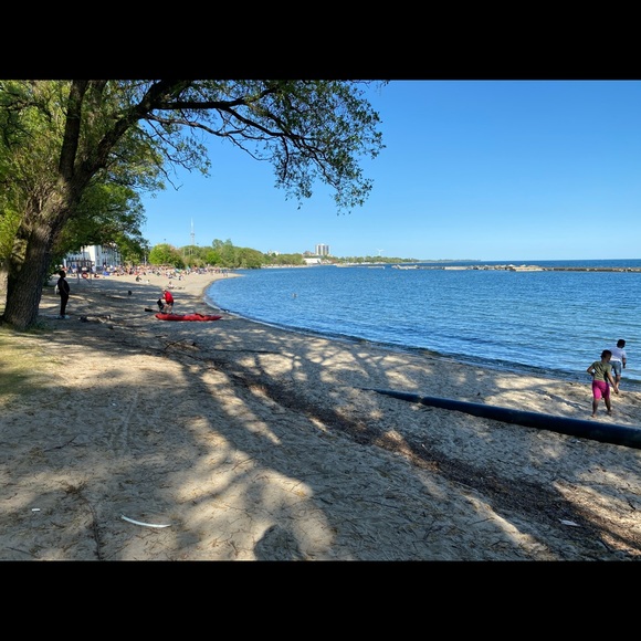 Meet your Posher, Emma - Picture 5 of 9